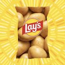 광선농장 이미지