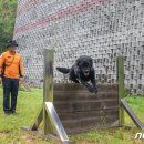중앙119구조본부(호남119특수구조대) 이미지