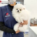 대명메디칼 이미지