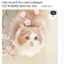 한발두발 체스교실 | #73-1. 26년 3월 4주차 ~4월 1주차 랜덤박스