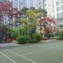 뉴현대단지내공인중개사사무소 이미지