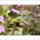 상걸보건진료소 이미지