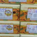 통통과일 - 동래구 사직북로33번길 31 | 통통과일