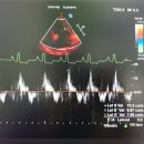 지경희동물병원 이미지