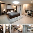 동산우성 이미지