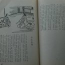 농월당