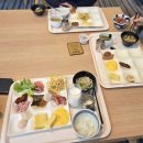 UP-TO-DATE | [홋카이도 온천 숙소 추천] 미도리노카제 리조트 온천, 조식 석식 후기