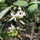 종화농장 이미지