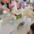 쌍둥이 농원 이미지