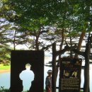 ...........◈드넓은 대청호반과 푸르른 숲 속에 숨겨진 청남대 이미지