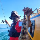 노란 오징어 이미지