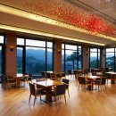 더플레이어스골프클럽 이미지