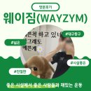 헬씨뷰티풀 | [대구 동구 헬스장] 웨이짐(WAYZYM) / 내돈내산 강추 후기