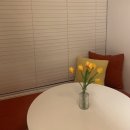 나의봄펜션 이미지