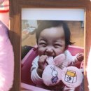 정인개발 헤럴드경제