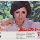 미보라 네이버블로그