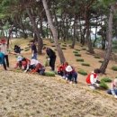 공원관리사업소 이미지