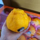 상보농장 이미지