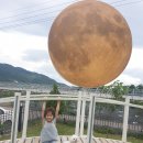 퀘렌시아 애견 이미지