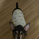 명동성모안과의원 이미지