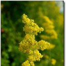 성동한우농장 이미지