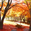 버턴(BUTTON) 이미지