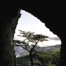신목약품 Daum카페