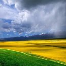 국토토지행정사사무소 이미지