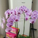 창 행정사사무소 이미지