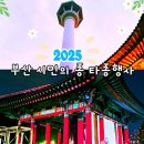 용두산공원 새해 부산 시민의종 타종행사 2025년 카운트다운 취소되었습니다