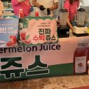 해바라기신발 | 창원 근교 함안 가볼만한곳 함안 강주해바라기 축제 방문 후기