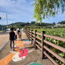 유등연지 둘레길 이미지