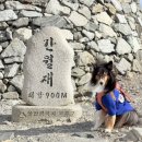 가사리당집 앞 공중화장실 | [반려견동반 경주여행] 강아지와 함께 겨울 &lt;간월재&gt; 최단코스로 걷기