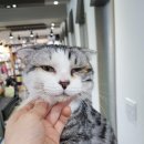 신원동주민센터 이미지