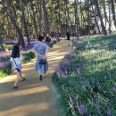 한오백년 추어탕 이미지