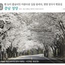꽃길만걷자6 이미지
