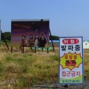 남밭