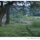 팔왕마을 이미지