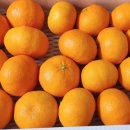 진홍농장 이미지