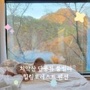 힐링펜션 | 치악산 단풍뷰 풀빌라 독채 원주펜션 _ 힐링포레스트 후기