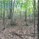 홍천군내면방내보건진료소 이미지