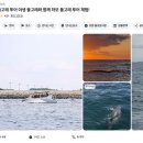 대정읍 하모리 1414-2 | 제주도 대정읍 돌고래 시간 제트보트 돌핀투어 선셋 타임 후기