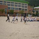 물금초등학교 이미지