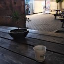 우소보소 이미지