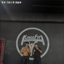통영 크로스핏 레슬링 이미지