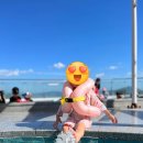 화순온천목욕탕 | 실내수영장 Best7-강천힐링스파,율포녹차해수센터,화순아쿠아나,여수라테라스,진주어뮤즈스파,거제...