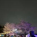 2026 만석거 수원 새빛축제 후기입니다.