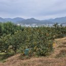 지리산산청마켓
