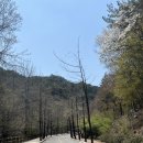 해인장식당 이미지