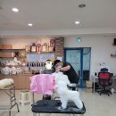 김성균애견미용학원